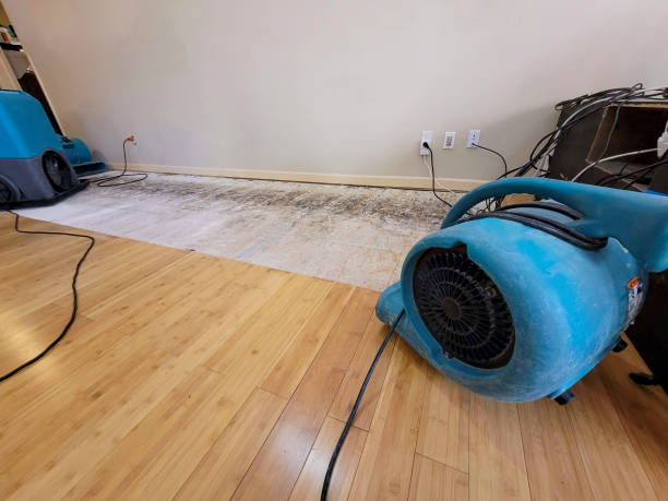 Professional Basement Flood Cleanup technician working in Hoehne, CO